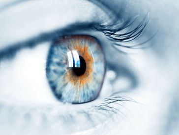 Close-up of a blue eye with orange accents and long eyelashes.
