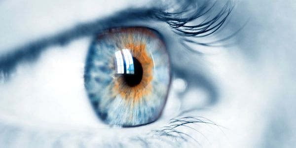 Close-up of a blue eye with orange flecks and reflective window light.