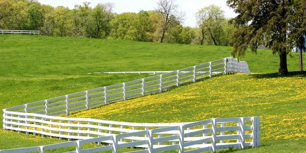 Professional Fence Installation