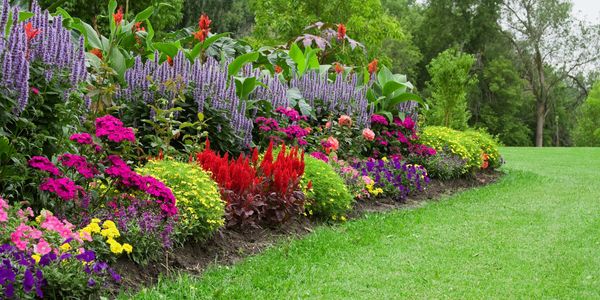 Vibrant flower bed with colorful blooms along a lush green lawn.