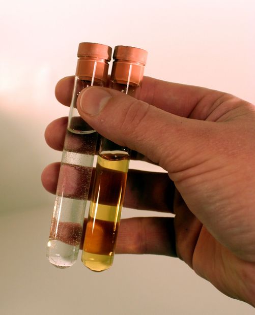 EtG Alcohol Testing for court-related alcohol screening with beer bottles.
