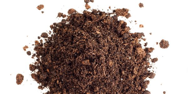 A pile of rich, dark soil on a white background.