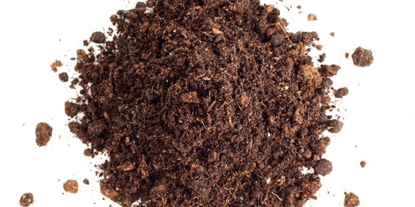 A pile of dark, rich soil on a white background.