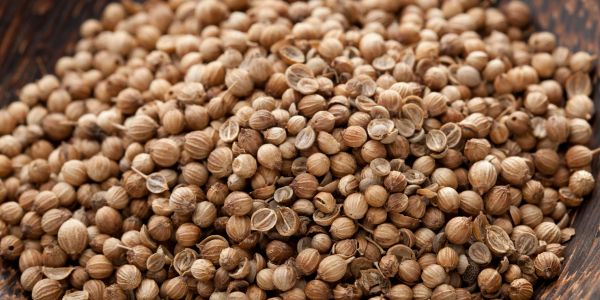 Close-up of coriander seeds in a wooden bowl.