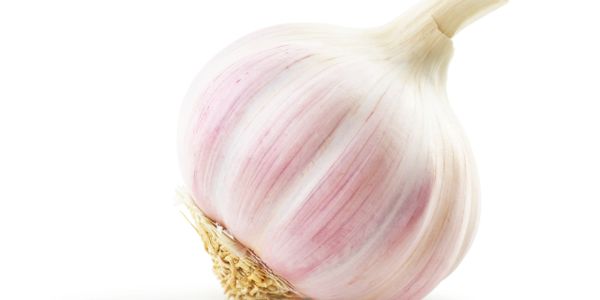A close-up of a fresh garlic bulb on a white background.