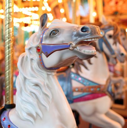 Close-up of a white carousel horse with ornate bridle and lights in the background.