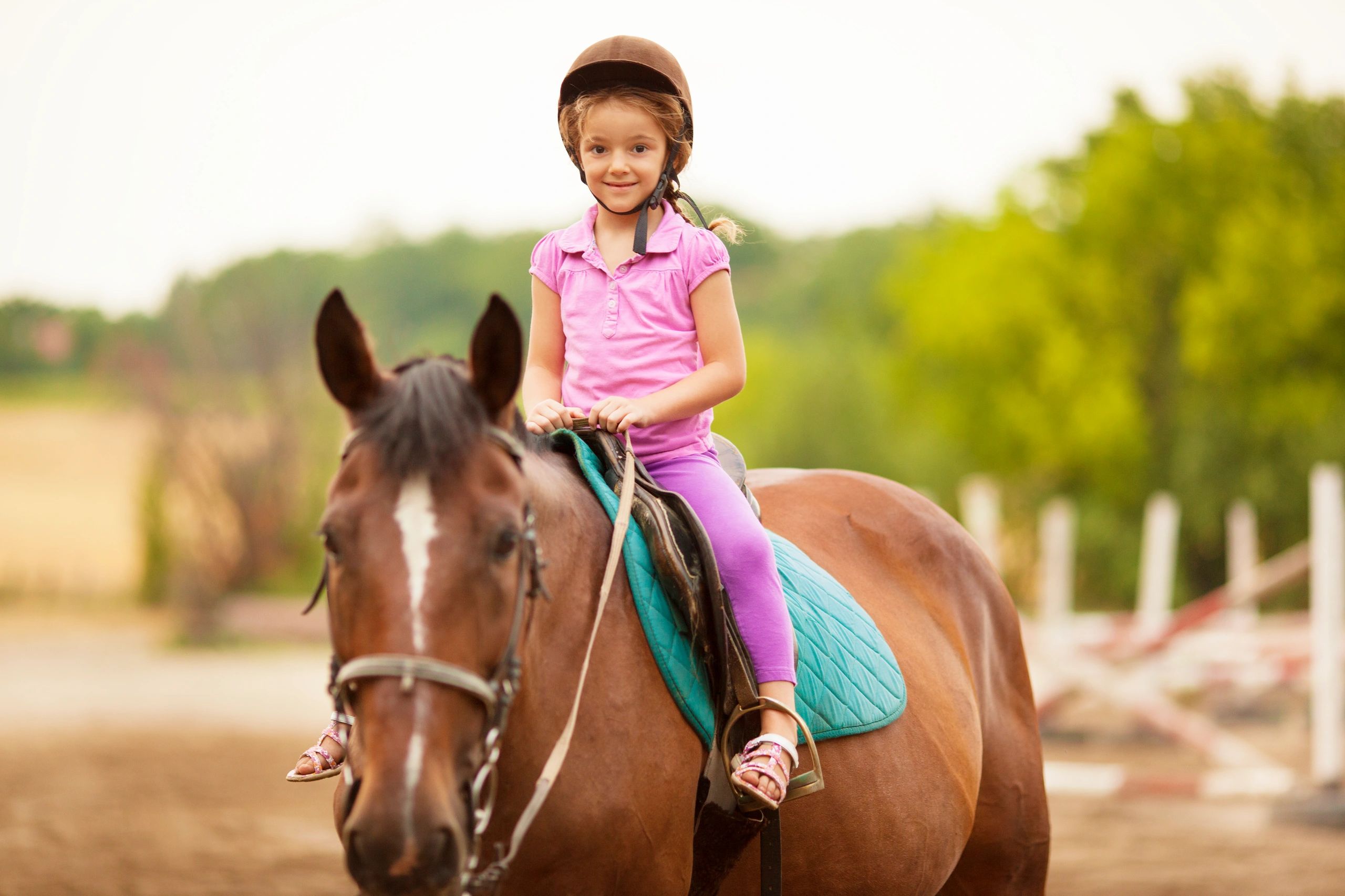 Learn Horse Riding at Double T Farms