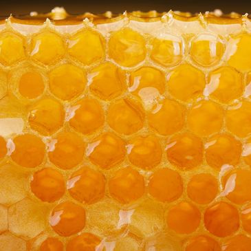 EXPORT ANALYSIS REPORT