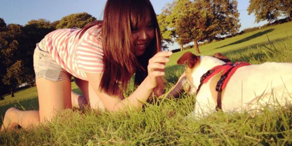 Woman playing with dog in a grassy park.
