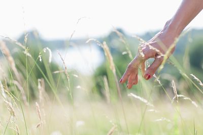 Sharon Nicholson MBACP, Accred

Therapy Intensives, Trauma Therapy, Relational Trauma, Brainspotting