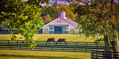 Equestrian Ranch for Sale