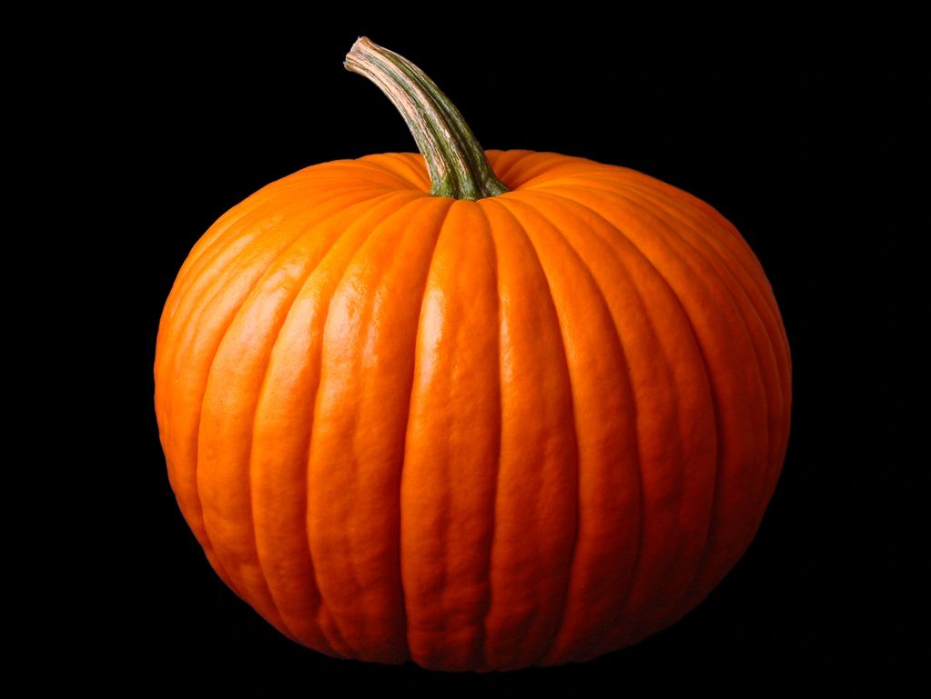 A bright orange pumpkin with a green stem on a black background.