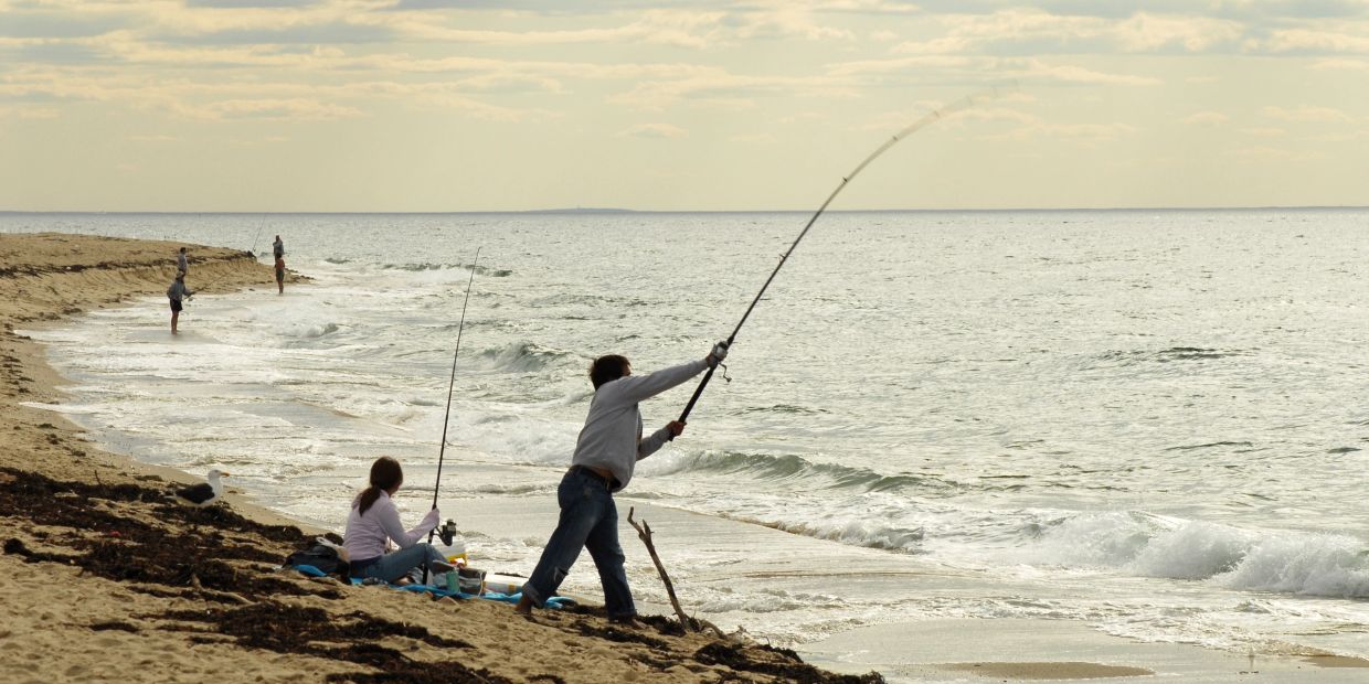 People fishing on a sandy beach by the ocean.