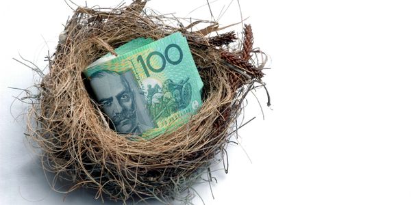 A nest containing a folded 100 Australian dollar bill.