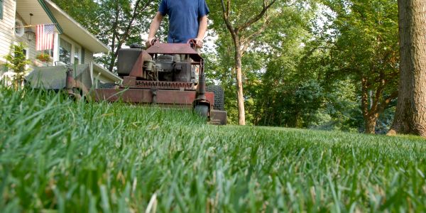 Man mowing lawn with a commercial mower.