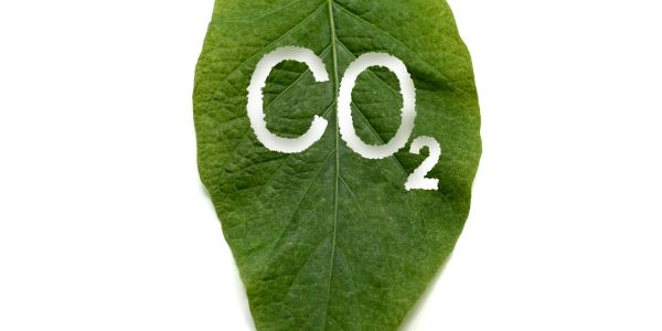 Green leaf with CO2 symbol representing carbon dioxide and environmental focus.