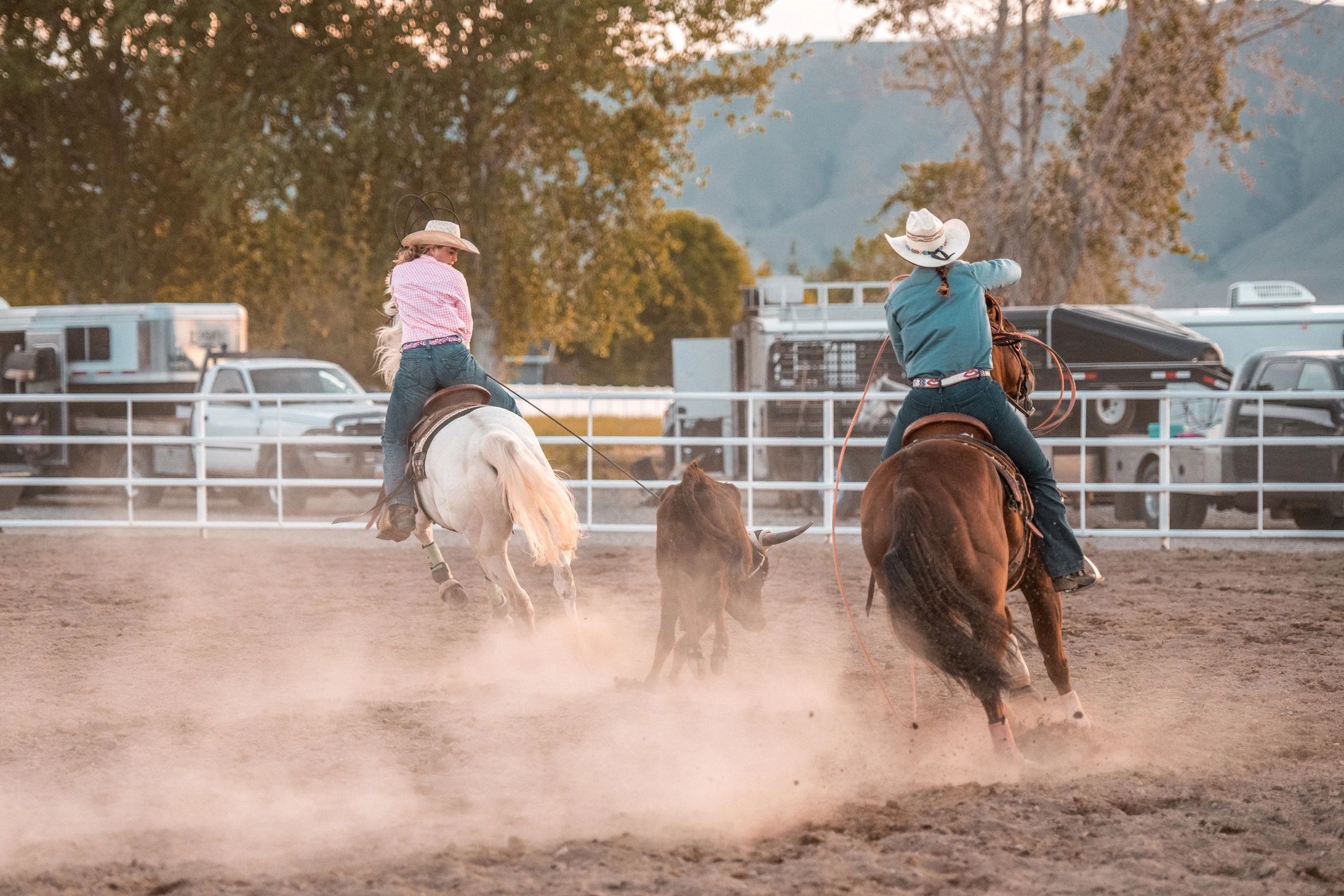 Malibu Rodeo