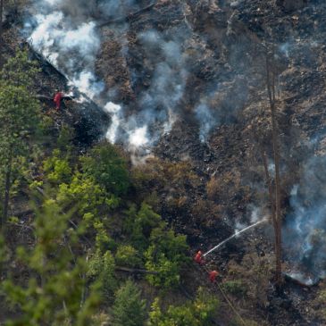 Firefighters battling a forest fire on a smoky hillside.