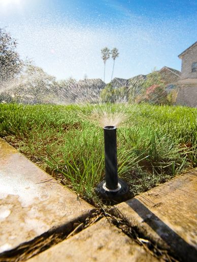 A sprinkler watering a suburban lawn on a sunny day.