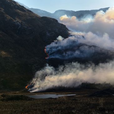 Wildfire burning on a mountainside with thick smoke rising.