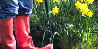 Person wearing red boots standing near blooming yellow daffodils in a garden.