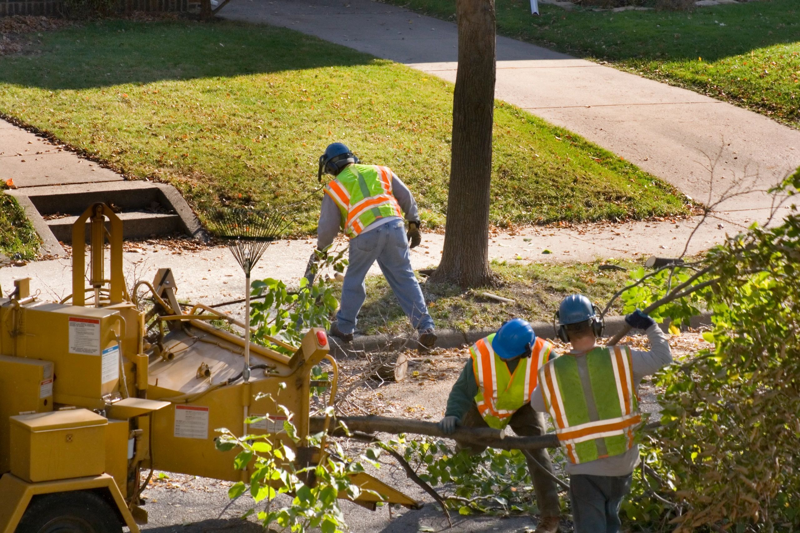 GASTELUM TREE & LANDSCAPING SERVICES A PARTNERSHIP logo