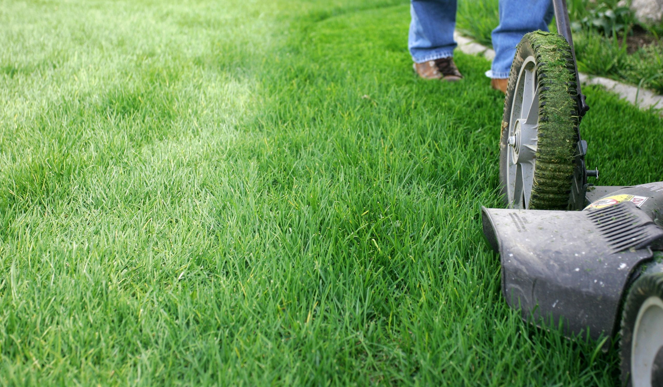 Chatham-Kent Property Services Inc photo 2