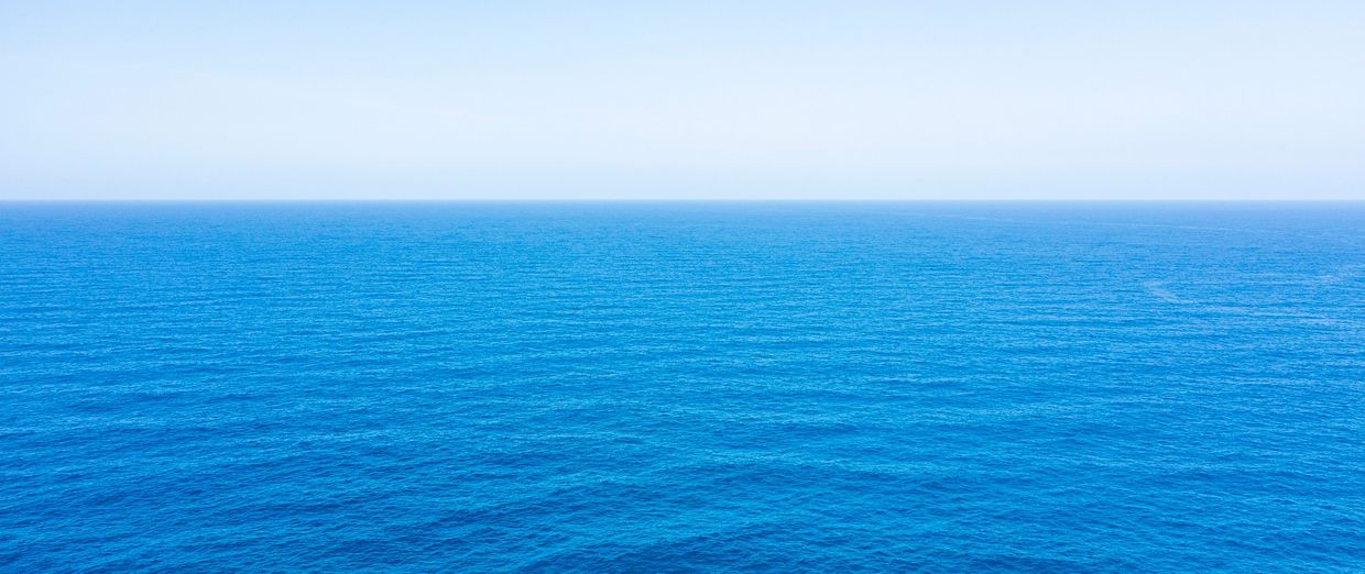 Sandy path leading to the ocean, lined with wooden posts and green grasses.