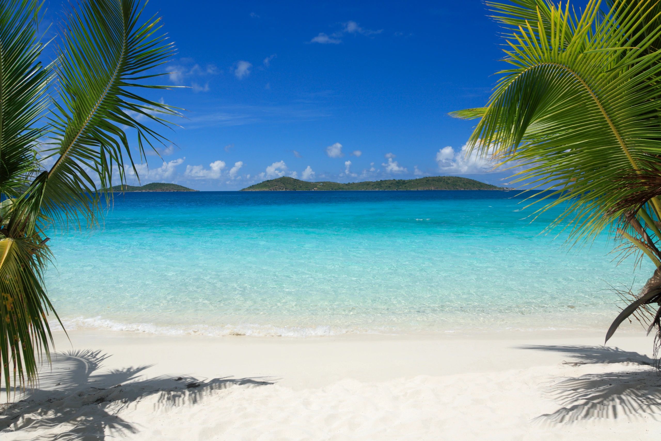 Paradise Point Travel