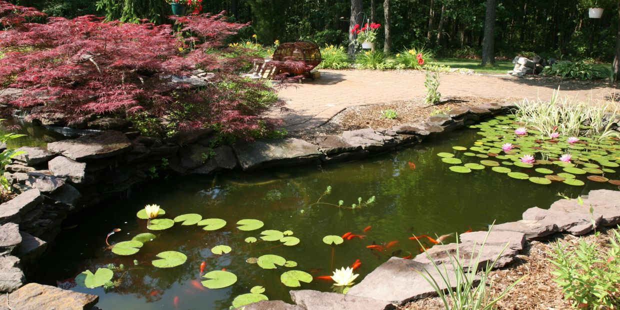 A serene pond with lily pads and orange fish surrounded by rocks and plants.