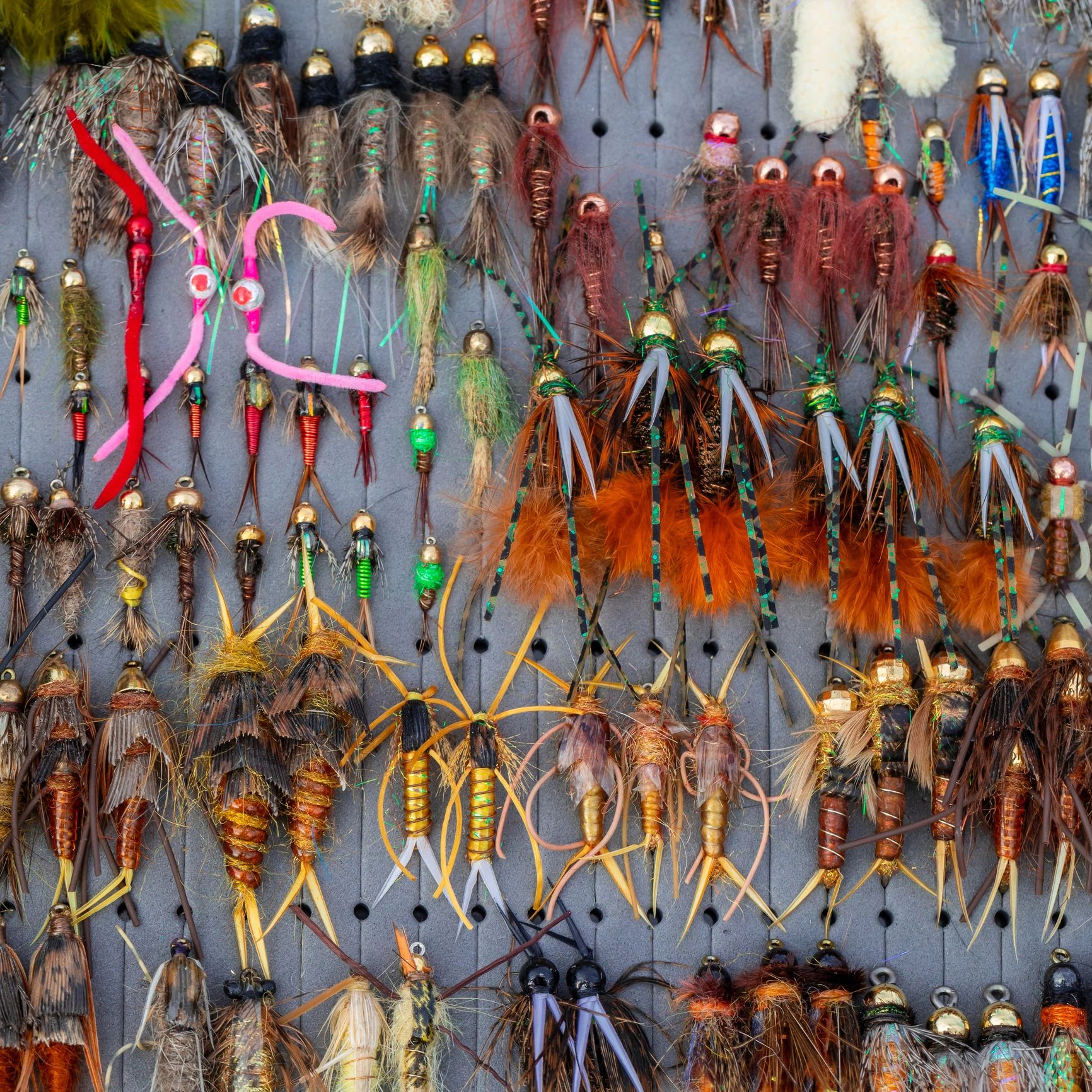 Fish Fodder