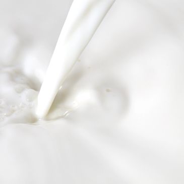 Milk being poured in close-up.
