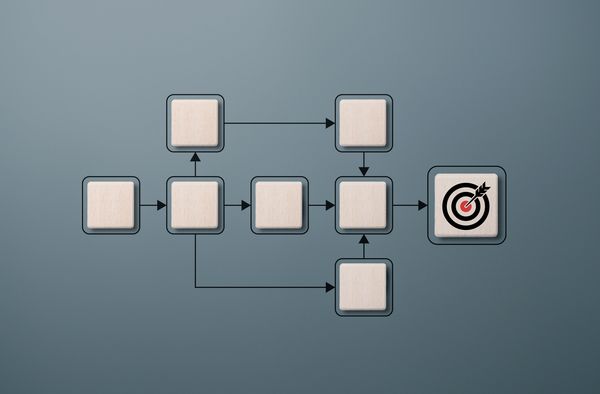 What is the vision of Operation Revitalize Africa?