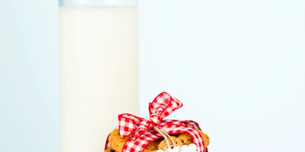 Glass of milk with a stack of cookies tied with a red gingham ribbon.