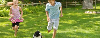 Two children running on grass with a small dog.