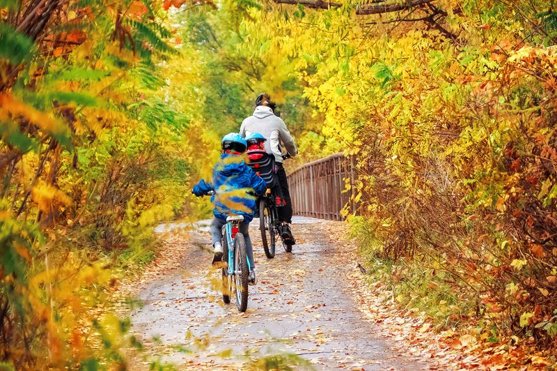 Family cycling in golden autumn park, active father and kids ride bikes, family sport and fitness with children outdoors