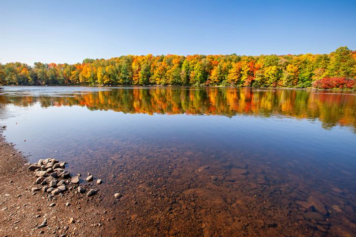 Fall colors by the lake