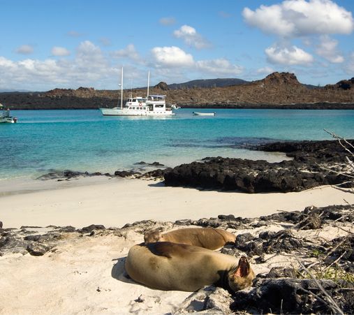 Sail in style aboard our luxury Galápagos catamarans.
