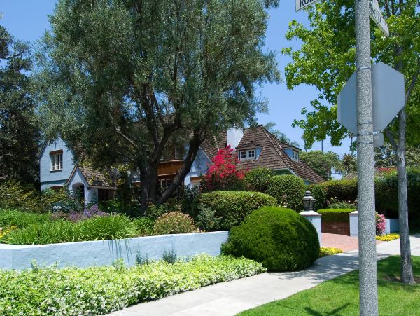 Cozy house with lush greenery and beautiful landscaping.