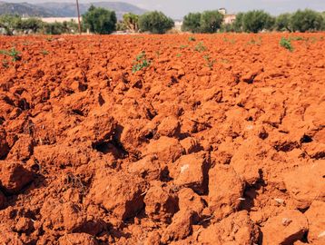 tierra rojiza demuestra que tiene sequía intensa