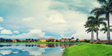 Tranquil lakeside view with palm trees and houses under a cloudy sky.