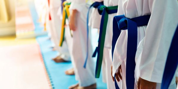 Martial arts training