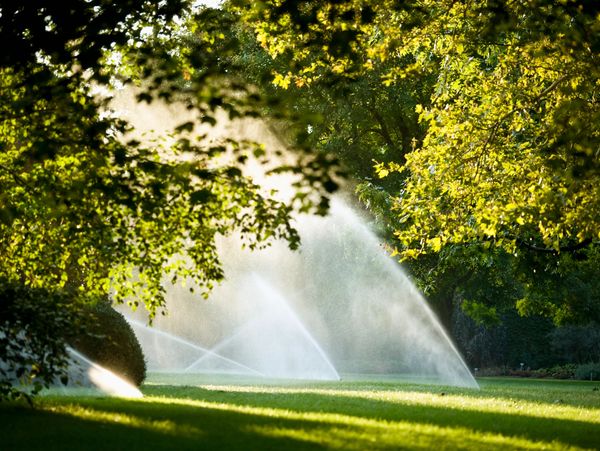 Sprinklers watering a lush green park surrounded by trees.