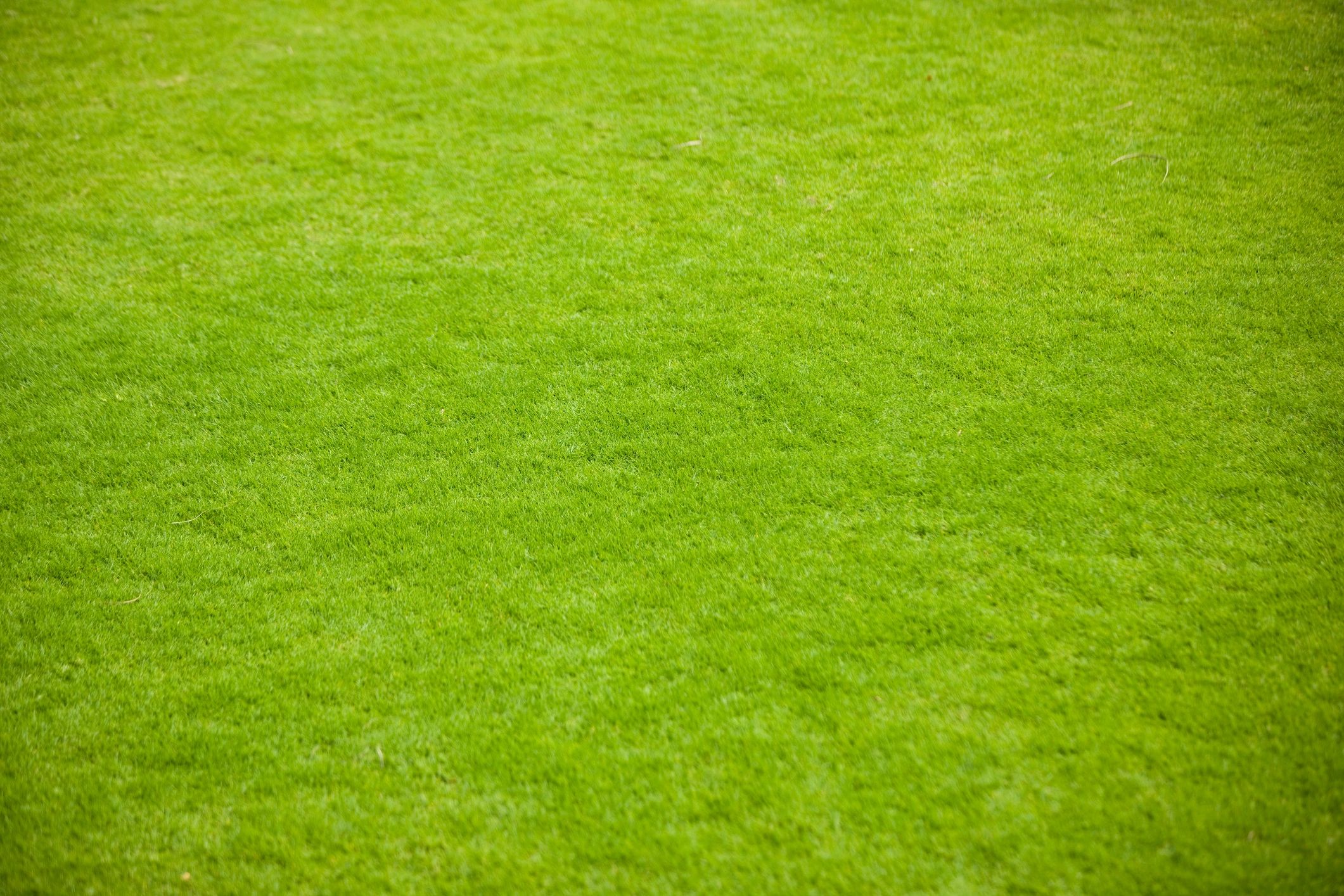 Person riding a green lawn mower cutting grass on a sunny day.