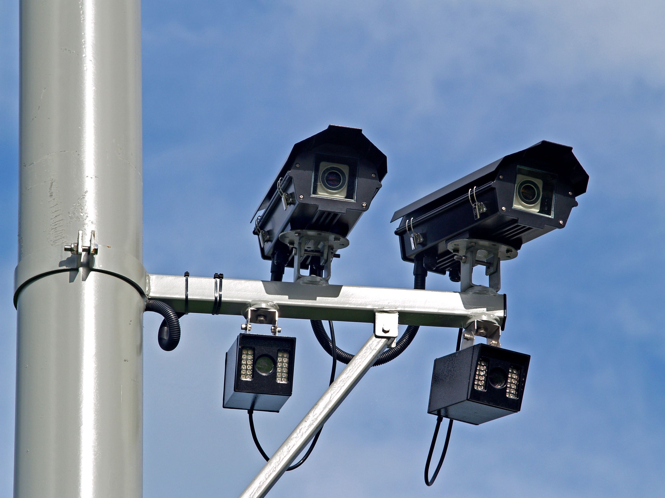 Can a Vehicle Wrap Hide Your Car from Flock Cameras?