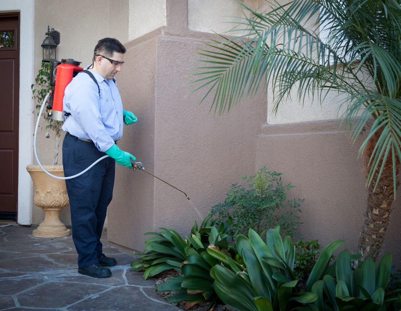 Man spraying pesticide on plants outside a house.