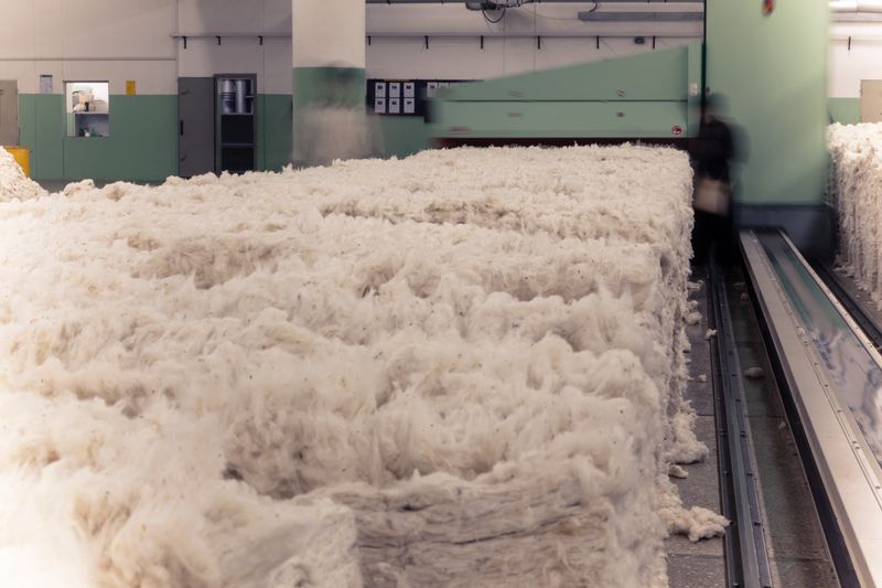 Cotton rolling in a cotton sorter and Cleaner of Rieter in a yarn spinning unit in textile mill.