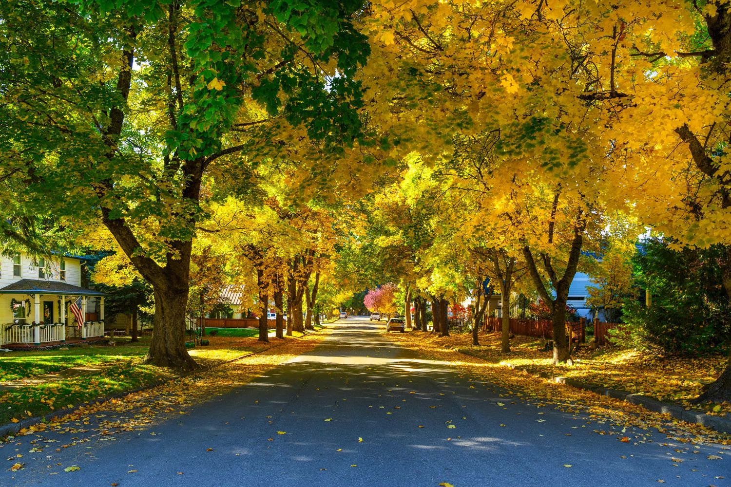 A peaceful suburban street lined with trees in vibrant autumn colors.