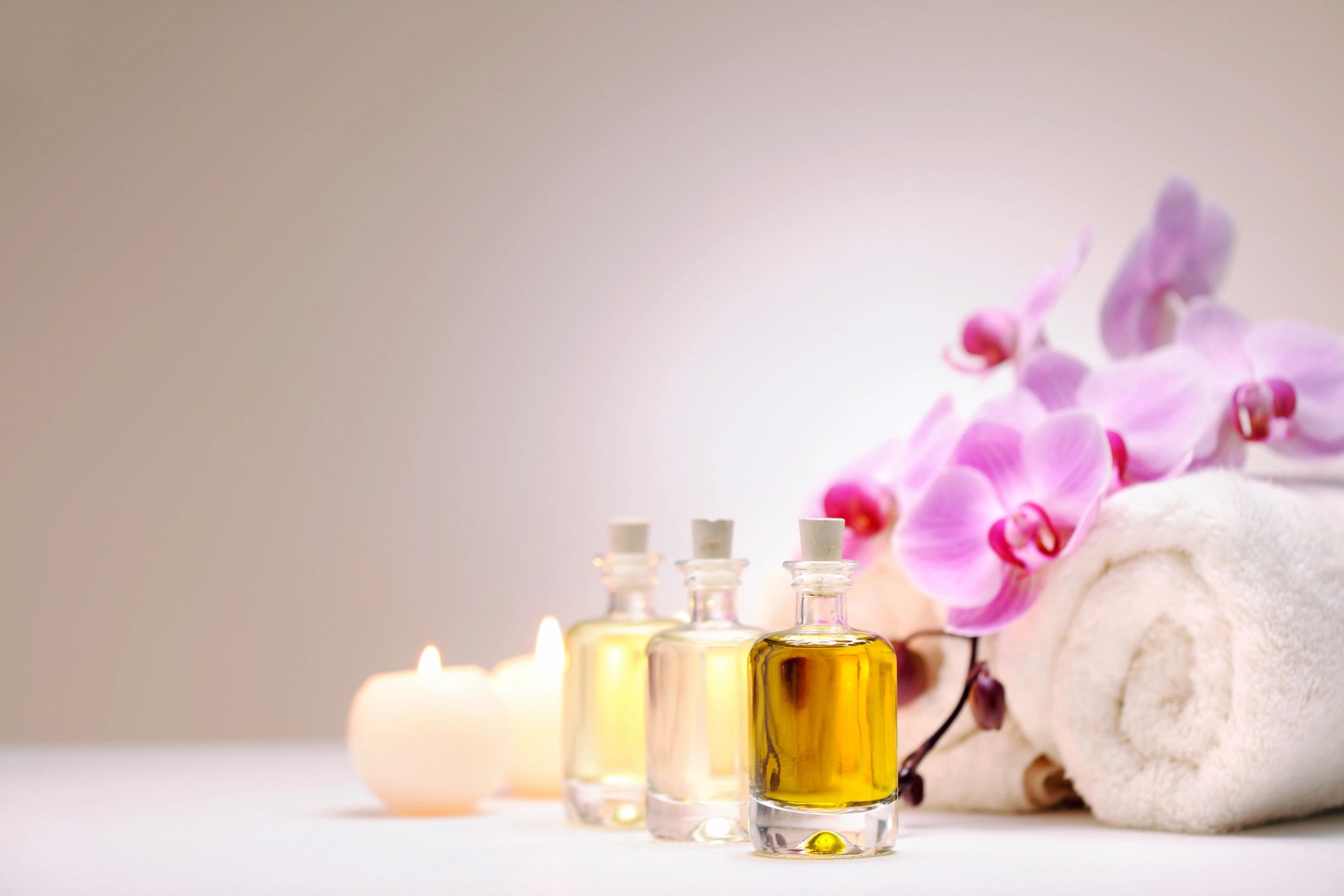Fresh Starts & Signature Scents: Your Spring Refresh Guide