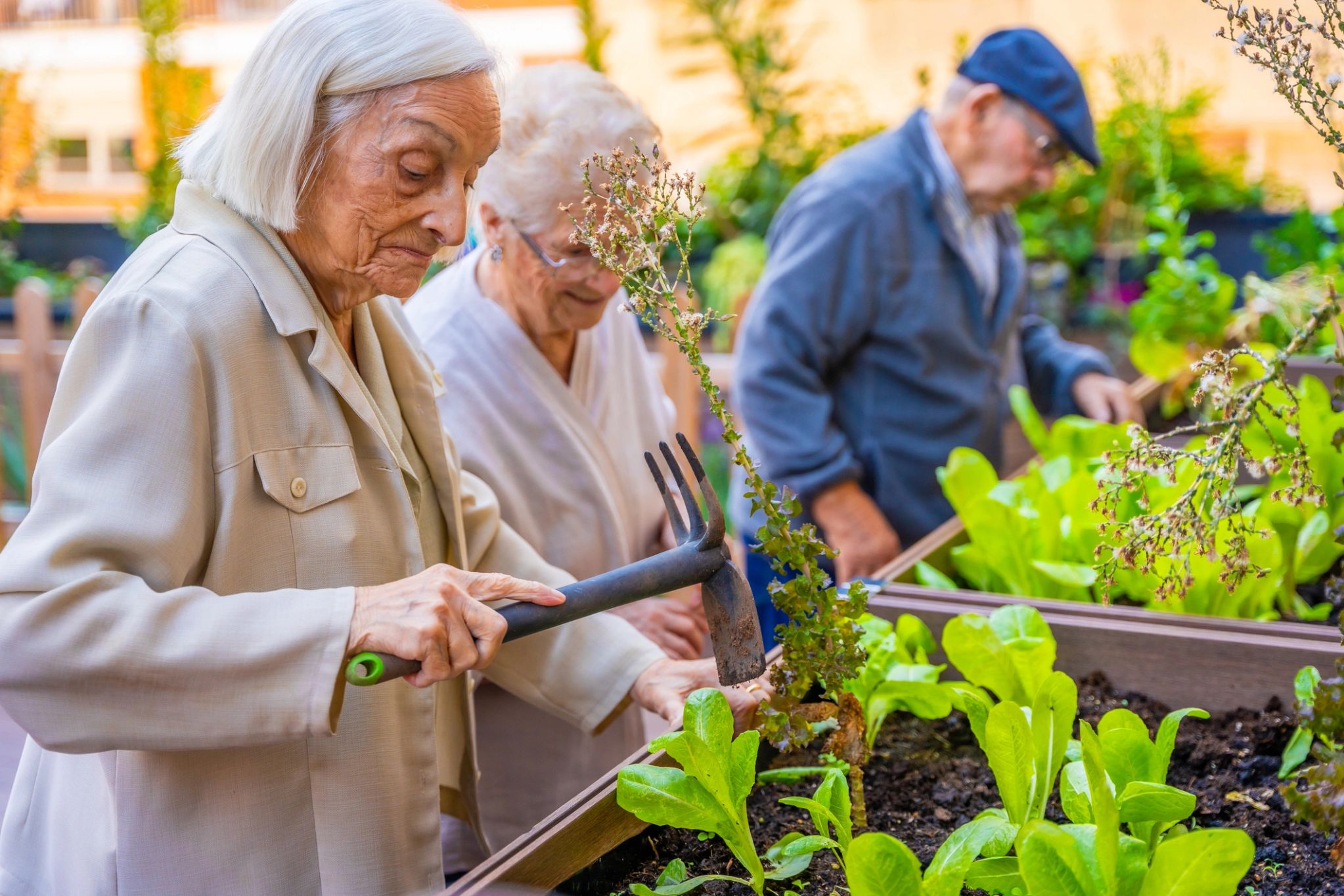 Caregiver helping a senior with a walker in a bright home setting